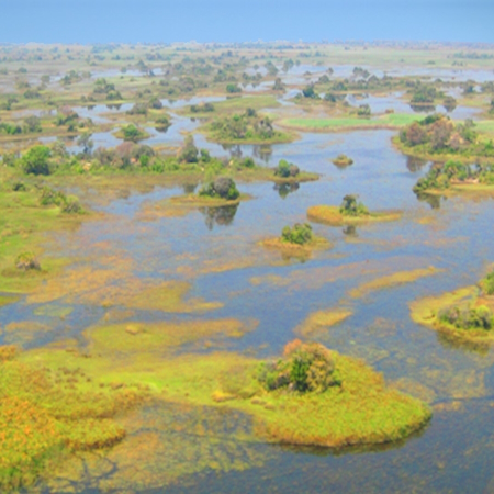 Botswana: land of water and&nbsp;wildlife